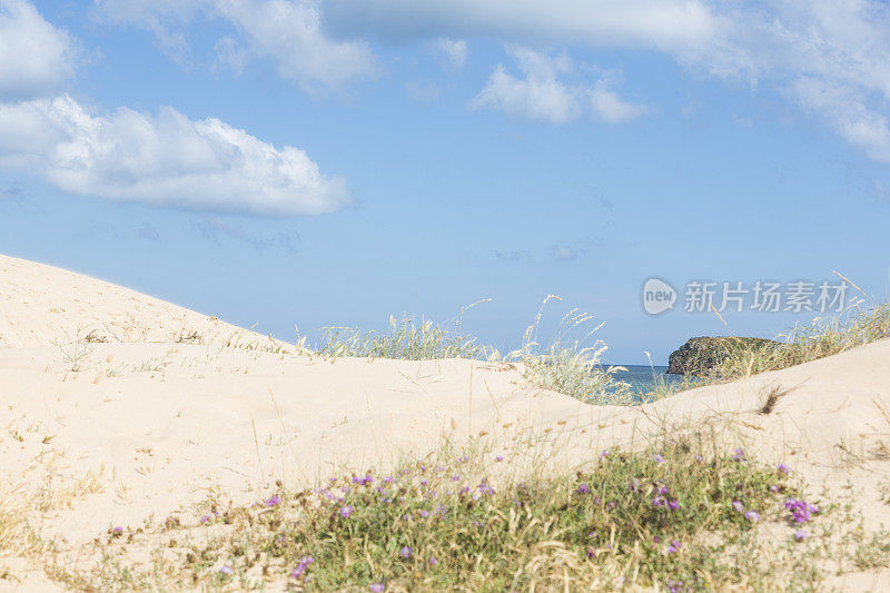 葡萄牙阿尔加维的田园诗般的海滩和冲浪者天堂Praia do Martinhal